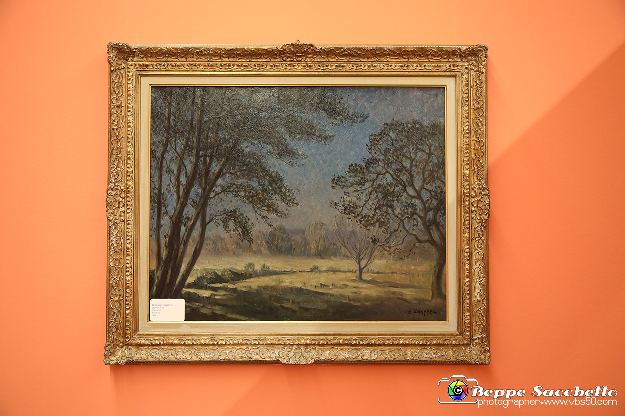 VBS_9840 - Impressionisti. Tra sogno e colore.jpg